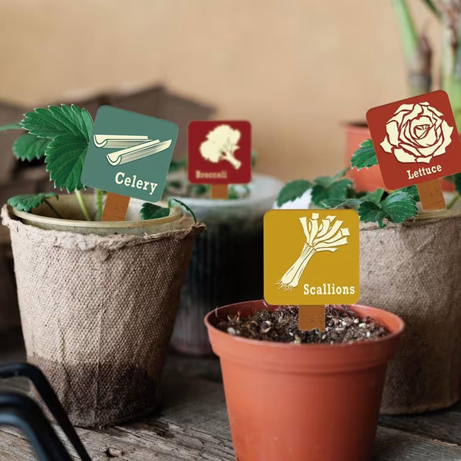Plant Label Tags - Plant Label Stakes 15 Stuks Herbruikbare