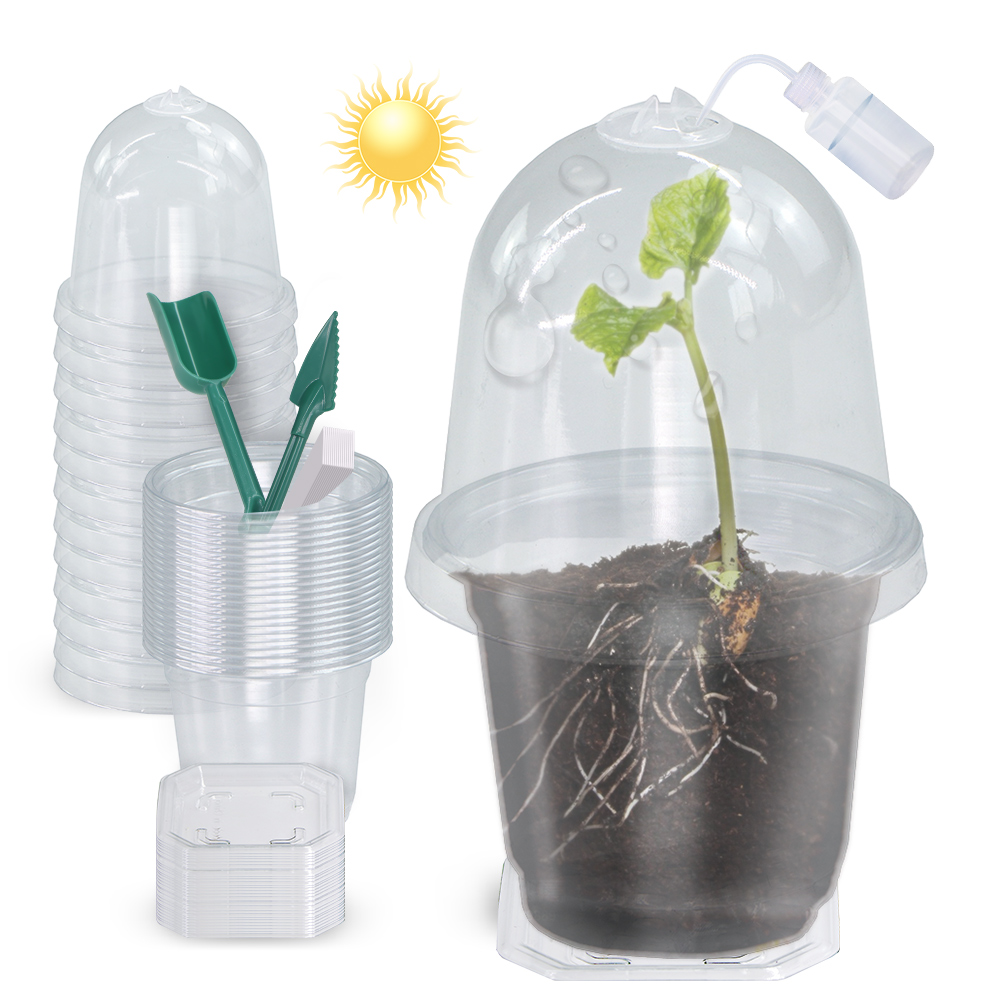 Seed Starter Trays - 160x90CM Zichtbare Duidelijke Planten Kieming Cup