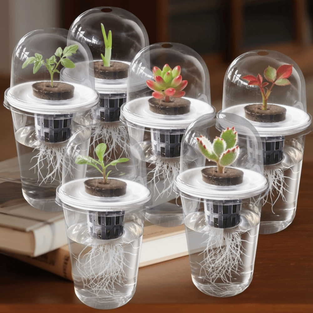 Seed Starter Trays - 1-5pc Zichtbare Transparante Plantenkweekbak Hydroponische Zaadplanters