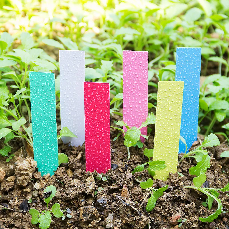 Plant Label Tags - 100Pcs Dikke 4Inch Plant Labels Herbruikbare