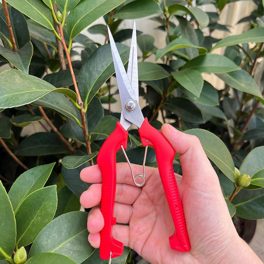 Gardening Tools Usa - Pro Garden snoeischaar Verlengde boom- en