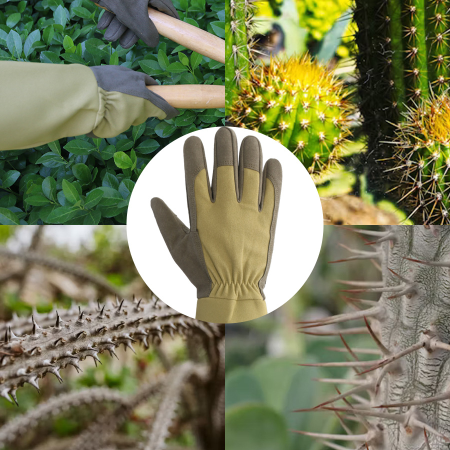Lange tuinhandschoenen, doornb - Garden Gloves Thorn Proof recensie en prijs