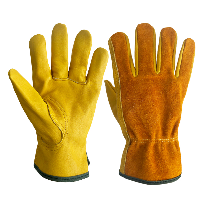 Campinghandschoenen, warmte-is - Garden Gloves Thorn Proof recensie en prijs
