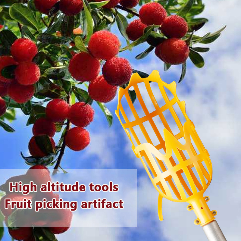 Plukken Loquat Plukken Bayberr - Gardening Tools Basket recensie en prijs