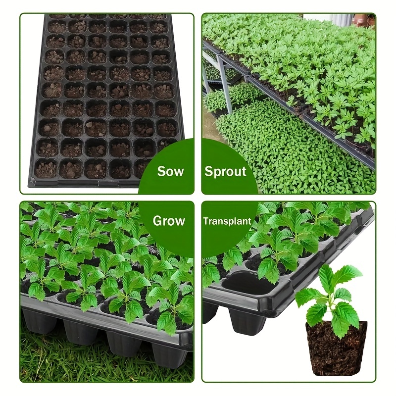 10-20 kweekbak, kweekbak voor  - Seed Starter Trays recensie en prijs
