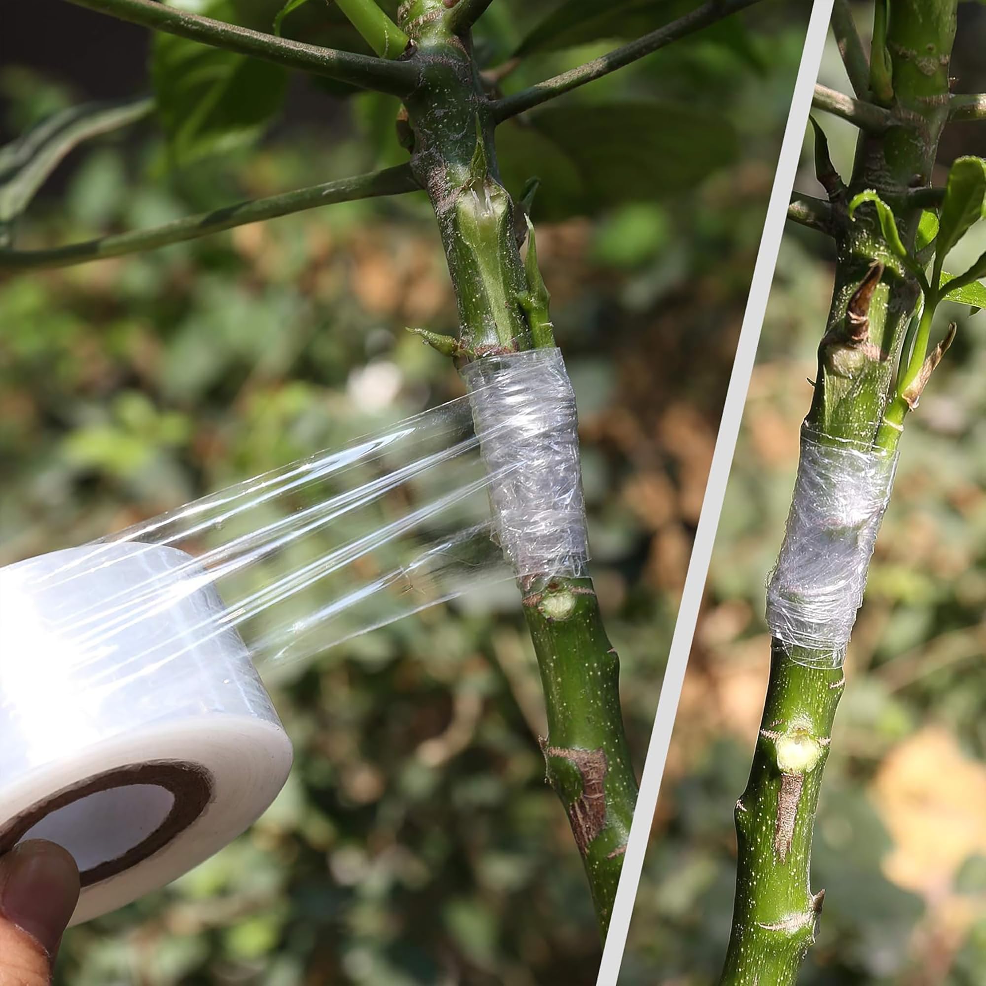 Gemakkelijk te gebruiken Biolo - Gardening Tools Uses recensie en prijs