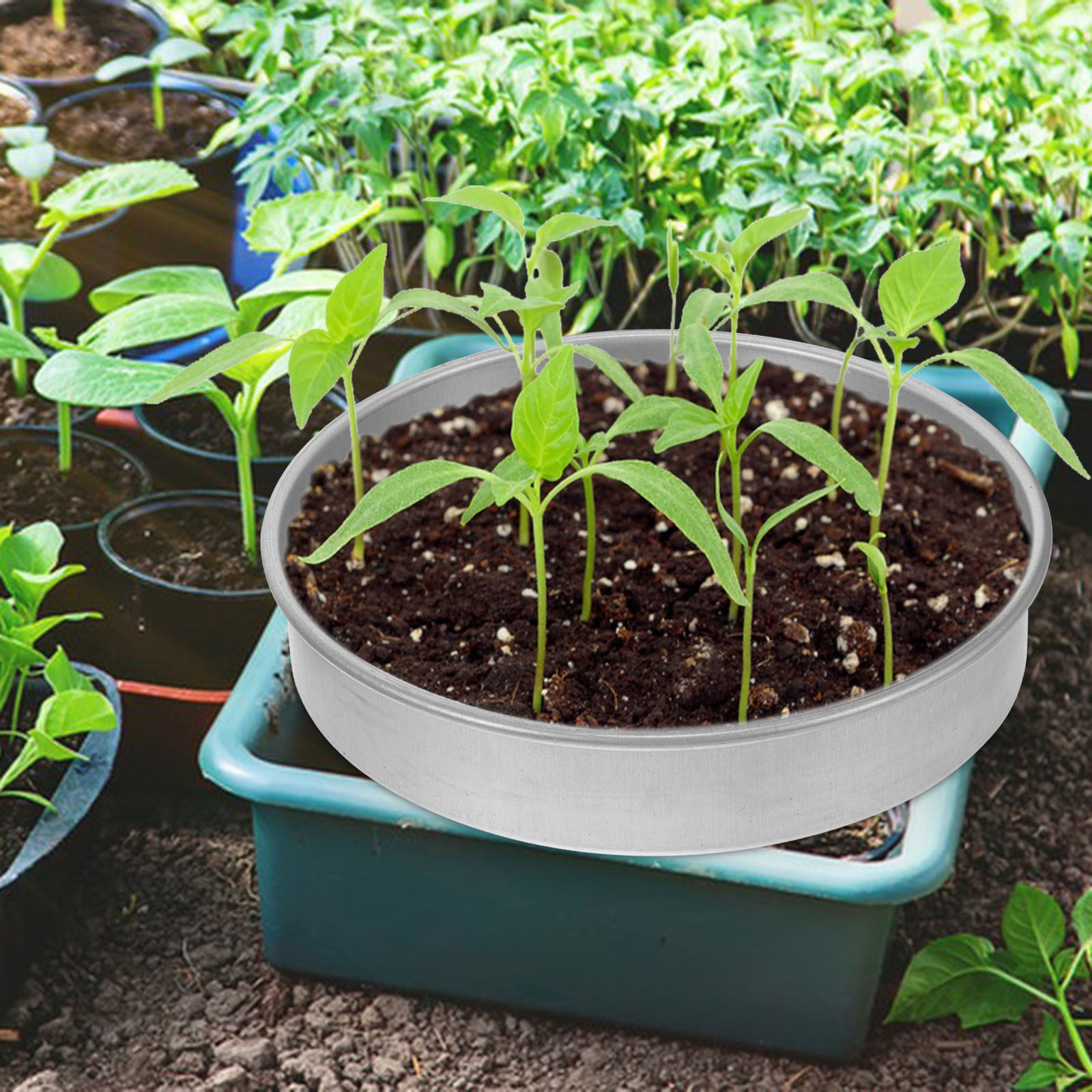 1 Set kiembak van roestvrij st - Seed Starter Trays recensie en prijs