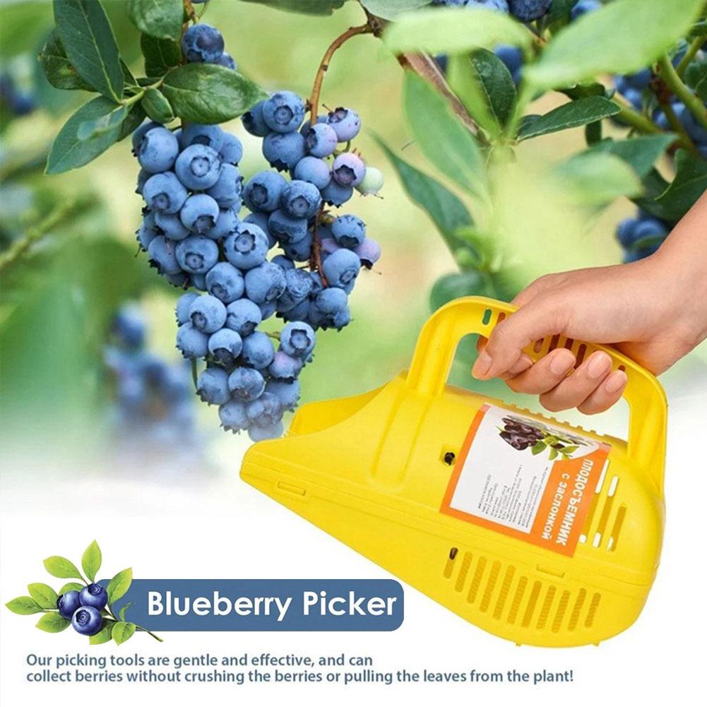 Blauwe-bessenplukker |   Effic - Gardening Tools Basket recensie en prijs
