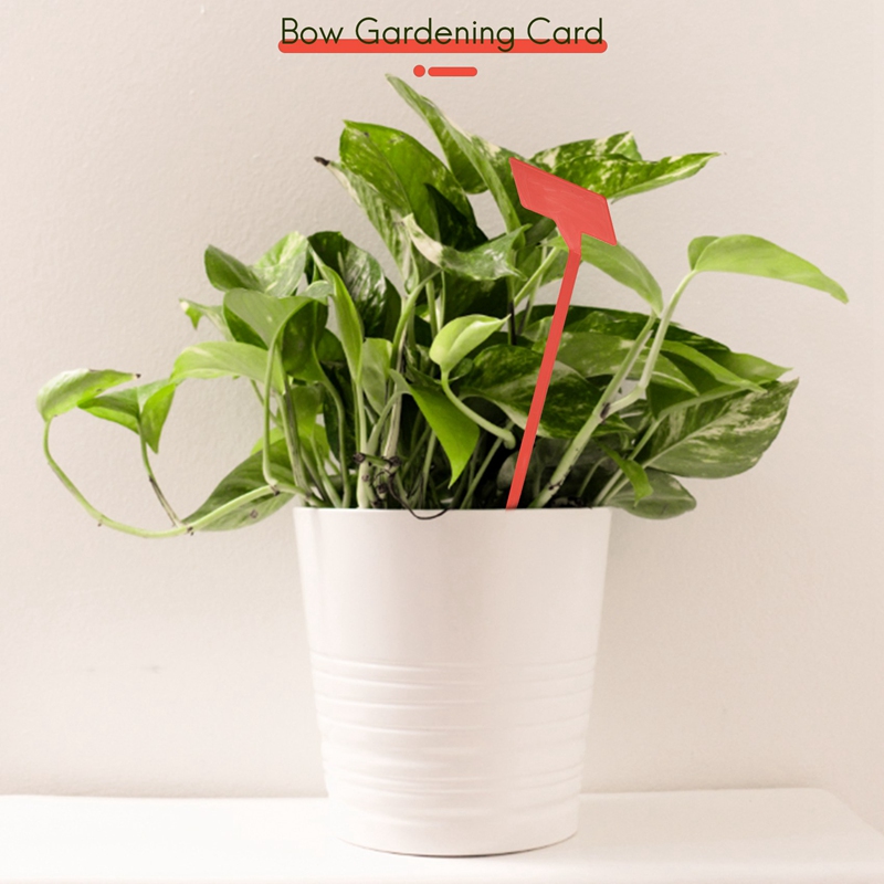 ABYP Tuinen Plantgereedschap 5 - Plant Label Tags recensie en prijs