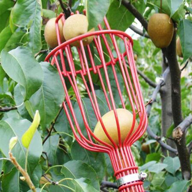 Diepe mand fruitplukkerkop, dr - Gardening Tools Basket recensie en prijs