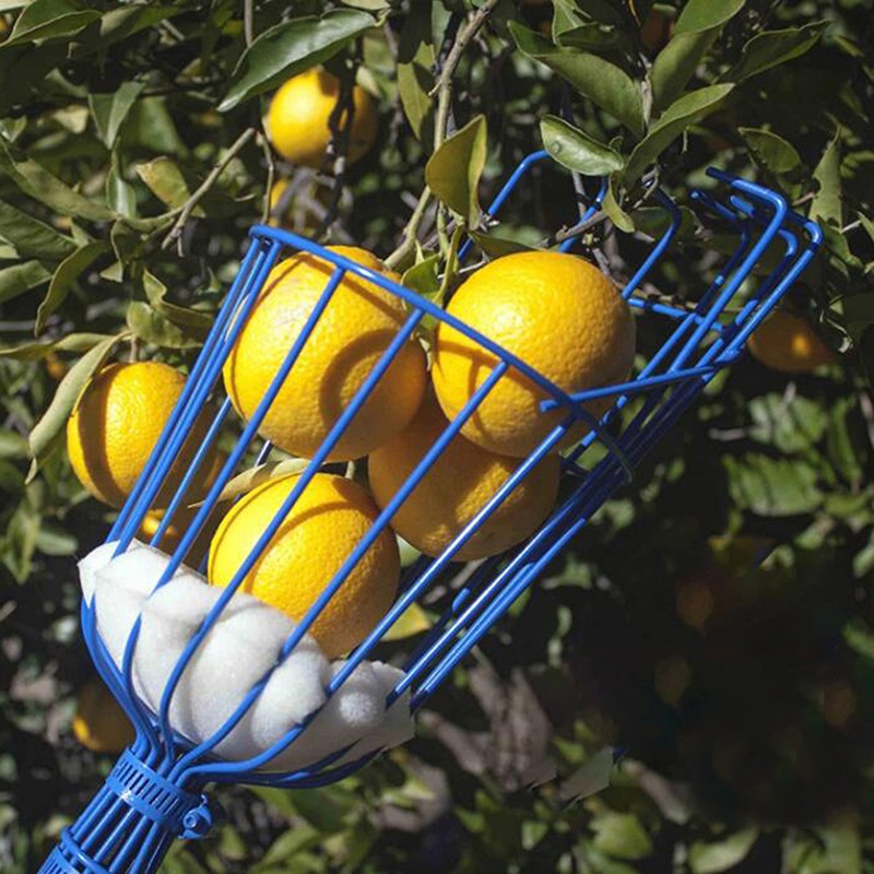 Diepe mand fruitplukkerkop, dr - Gardening Tools Basket recensie en prijs