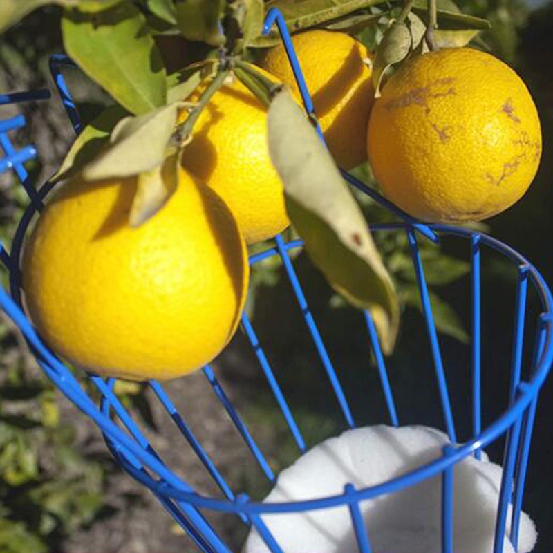 Diepe mand fruitplukkerkop, dr - Gardening Tools Basket recensie en prijs
