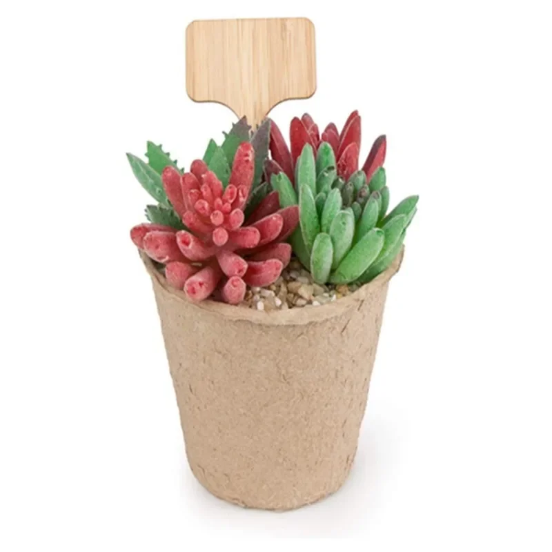 10 STKS T-Type Bosrijke Plant  - Plant Label Tags recensie en prijs