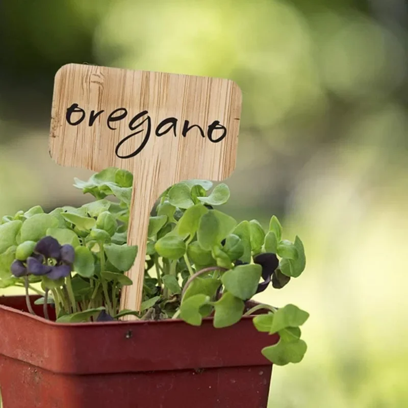 10 STKS T-Type Bosrijke Plant  - Plant Label Tags recensie en prijs