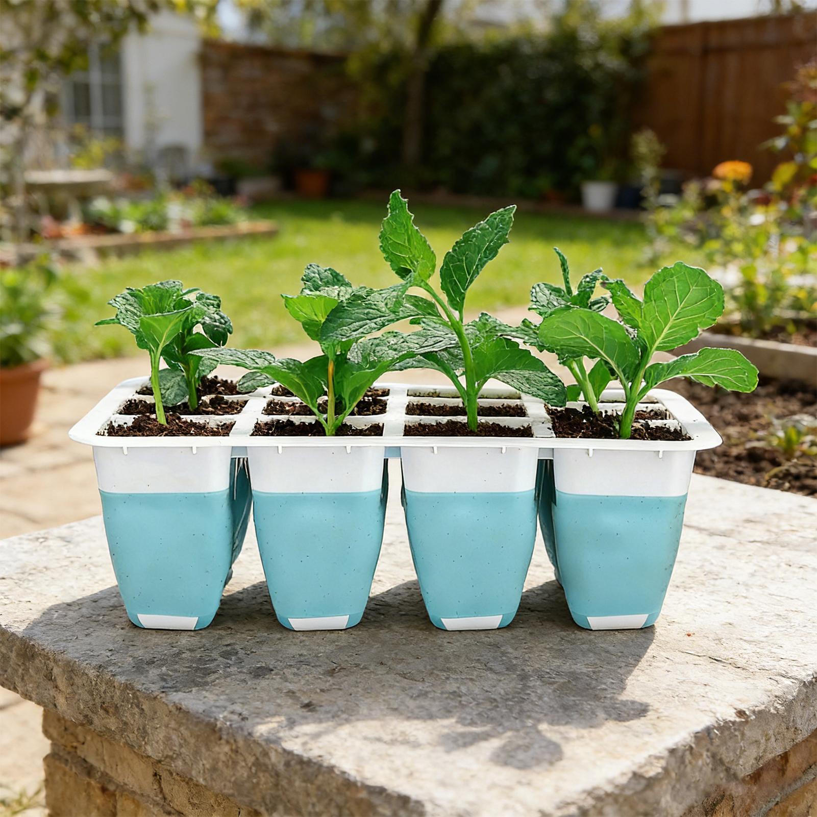 5-pack siliconen zaaitrays met - Seed Starter Trays recensie en prijs