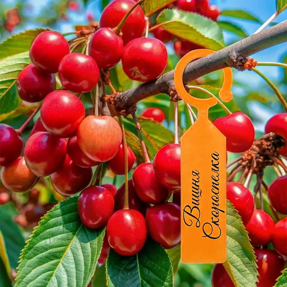 Tuinplantlabel Ringhaak Boomma - Plant Label Tags recensie en prijs