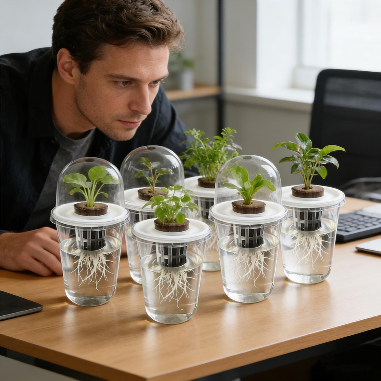 1-5pc Zichtbare Transparante P - Seed Starter Trays recensie en prijs