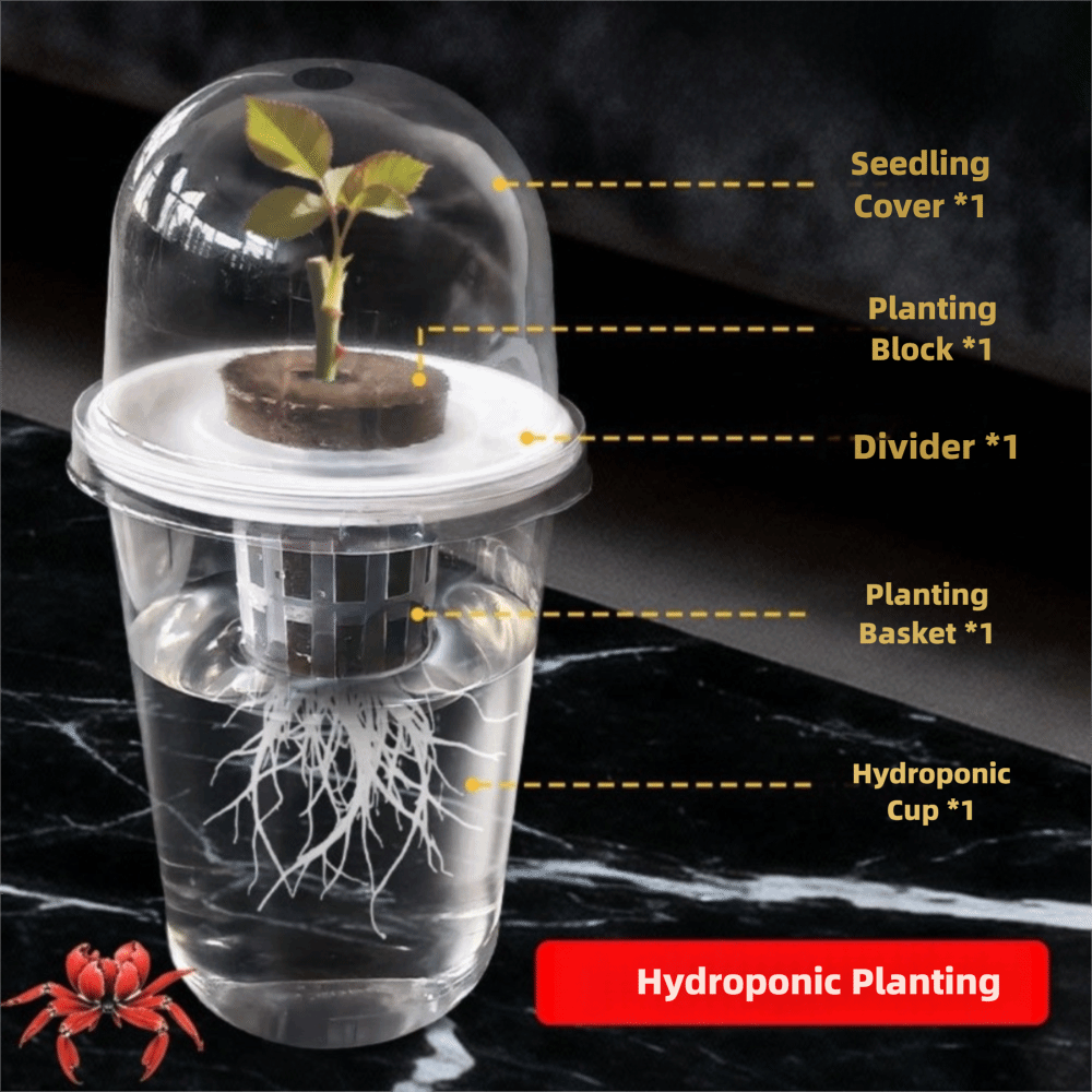 1-5pc Zichtbare Transparante P - Seed Starter Trays recensie en prijs