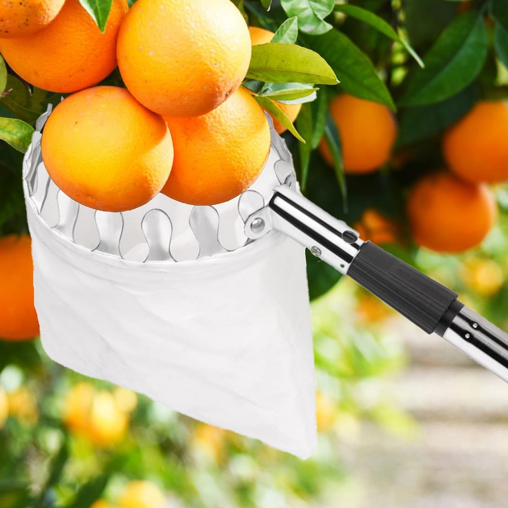 Fruitplukkerstok met mand Tele - Gardening Tools Basket recensie en prijs
