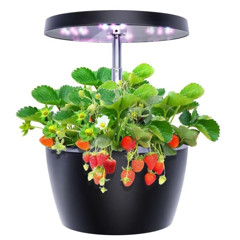 Irrigatie en Hydrocultuur Appa - Seed Starter Trays recensie en prijs