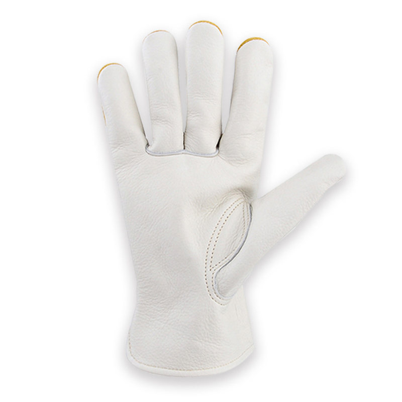 Lederen Werkhandschoenen Tuini - Garden Gloves Thorn Proof recensie en prijs