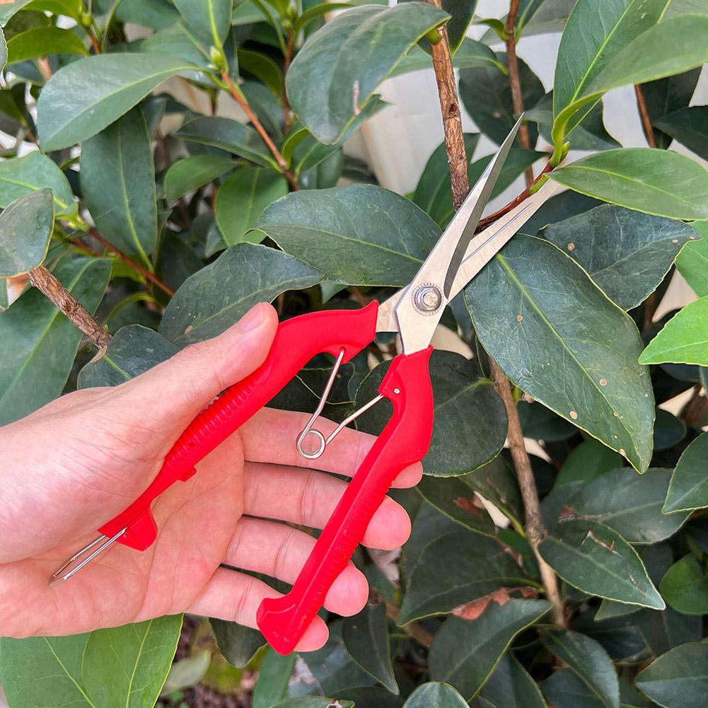 Pro Garden snoeischaar Verleng - Gardening Tools Usa recensie en prijs