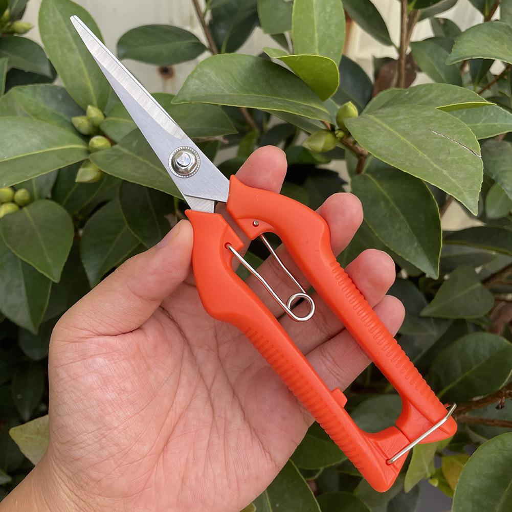 Pro Garden snoeischaar Verleng - Gardening Tools Usa recensie en prijs