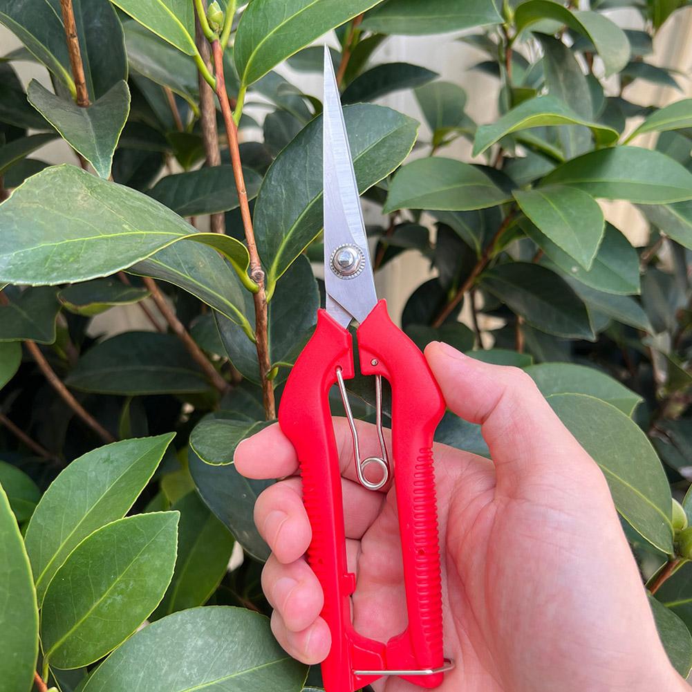 Pro Garden snoeischaar Verleng - Gardening Tools Usa recensie en prijs