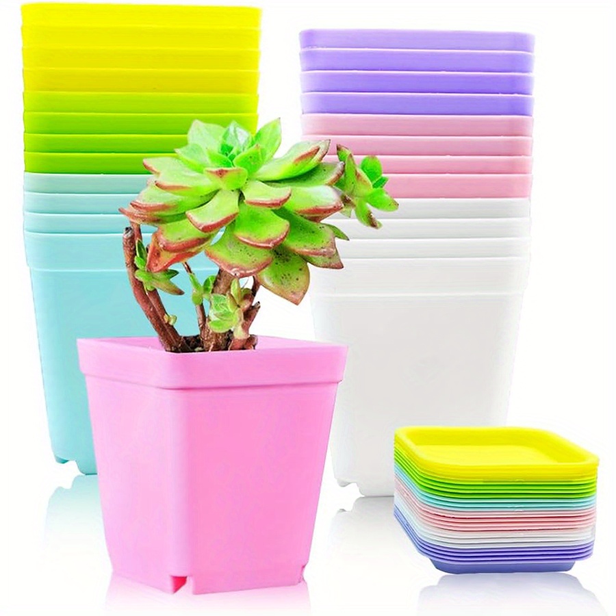 12 stuks 7 cm plastic vierkant - Seed Starter Trays recensie en prijs