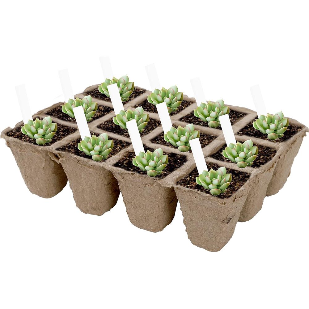 40-pack turfzodenpotten zaadst - Seed Starter Trays recensie en prijs