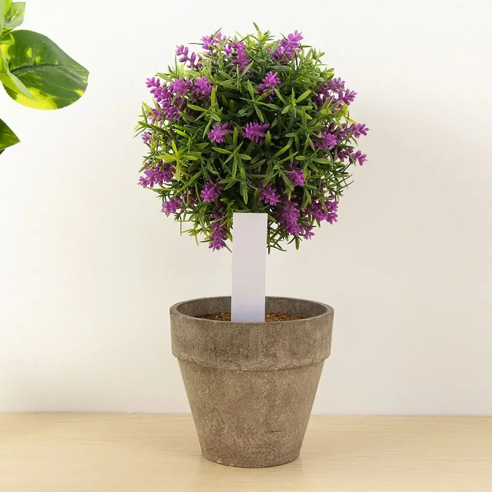 100 Stuks Herbruikbare Classif - Plant Label Tags recensie en prijs