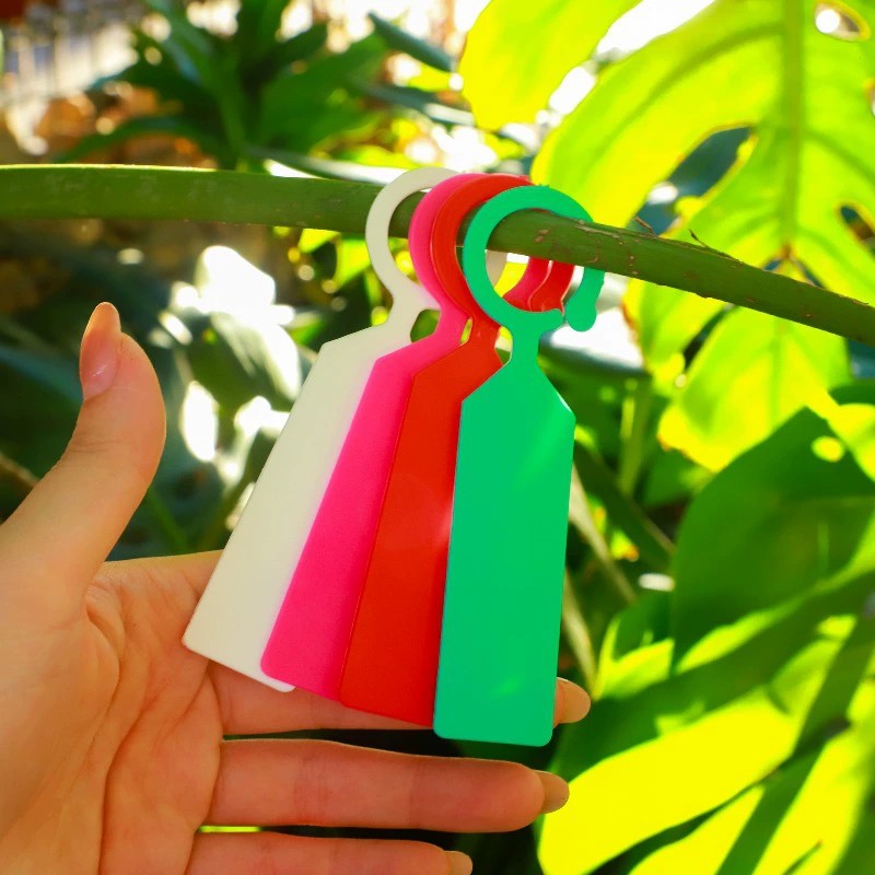 100 stuks ringvormige plantenl - Plant Label Tags recensie en prijs