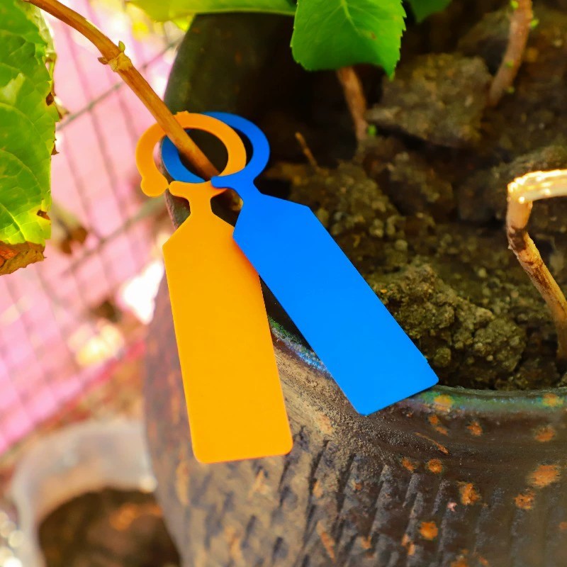 100 stuks ringvormige plantenl - Plant Label Tags recensie en prijs