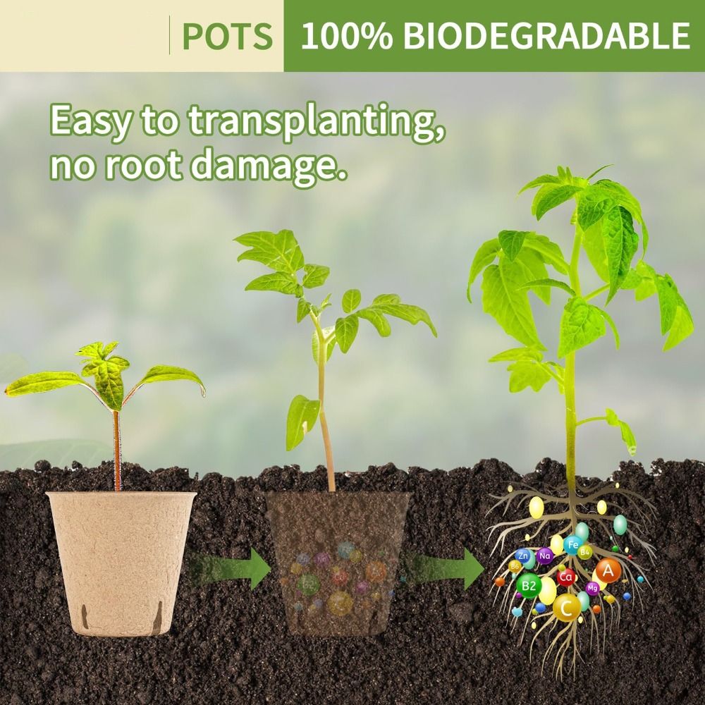 50 STUKS Biologisch afbreekbar - Seed Starter Trays recensie en prijs