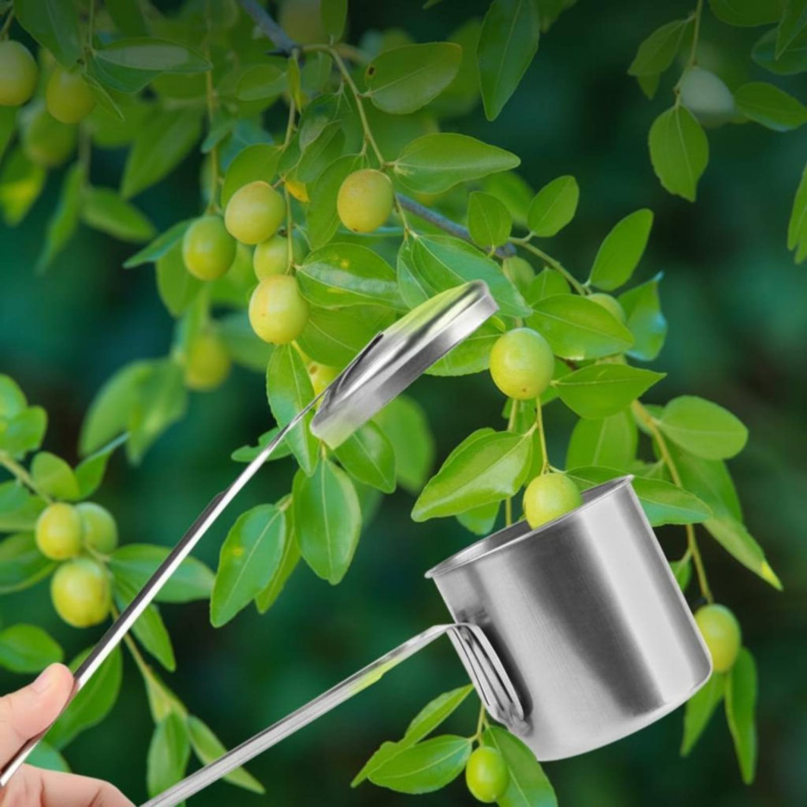 Cup Fruit Picker Roestvrijstal - Gardening Tools Uses recensie en prijs