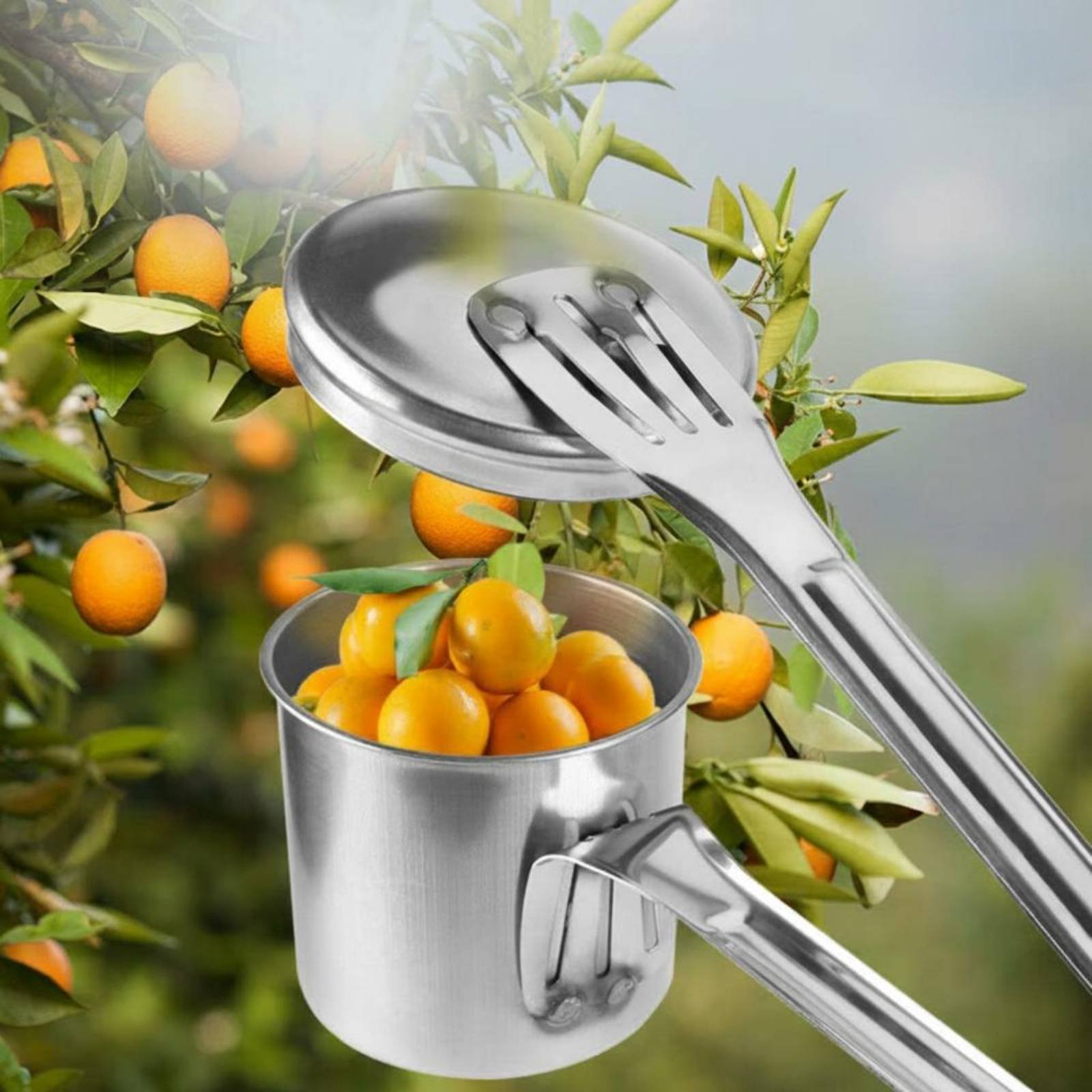 Cup Fruit Picker Roestvrijstal - Gardening Tools Uses recensie en prijs