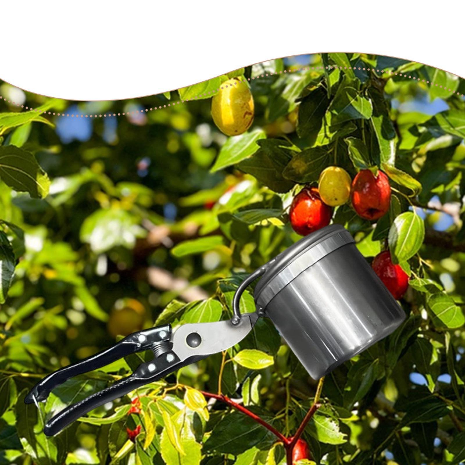 Fruitplukker, eenvoudig te geb - Gardening Tools Uses recensie en prijs