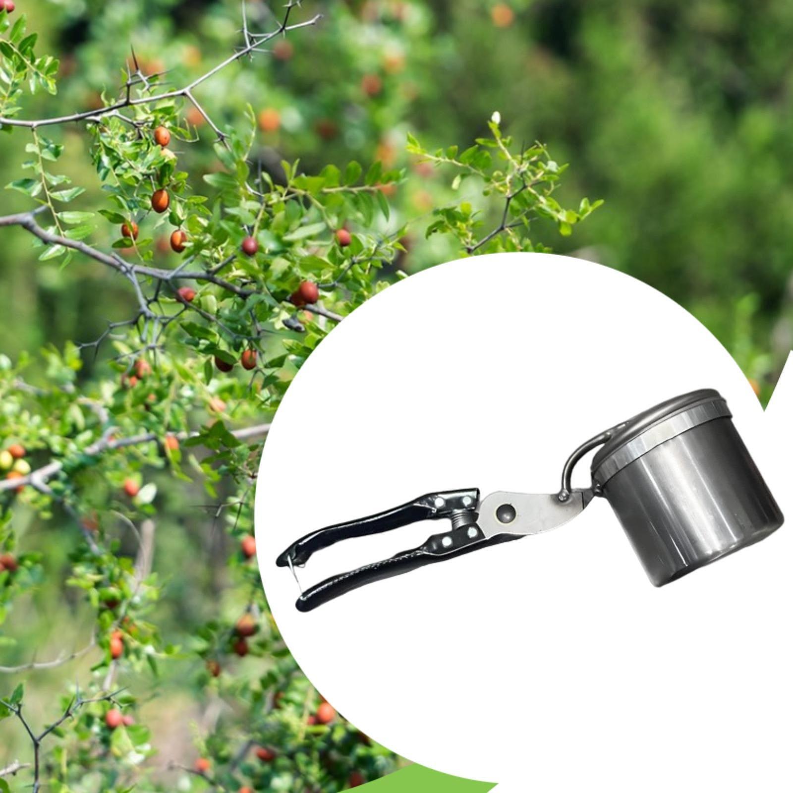 Fruitplukker, eenvoudig te geb - Gardening Tools Uses recensie en prijs