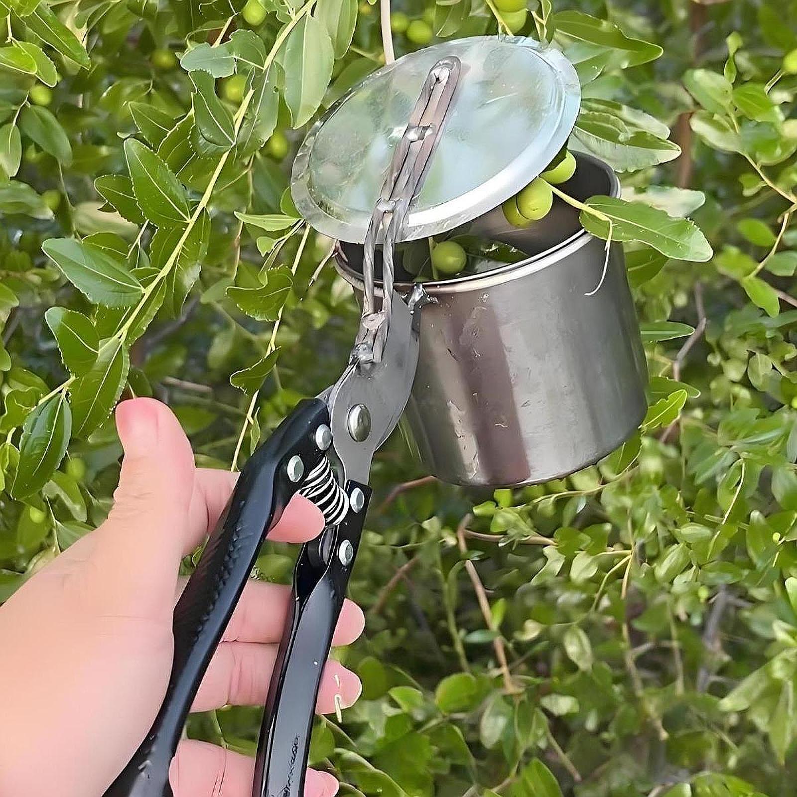 Fruitplukker, eenvoudig te geb - Gardening Tools Uses recensie en prijs